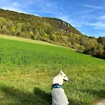 דירה Laendliche Wildblume, 4 Km Zum Stausee Happurg