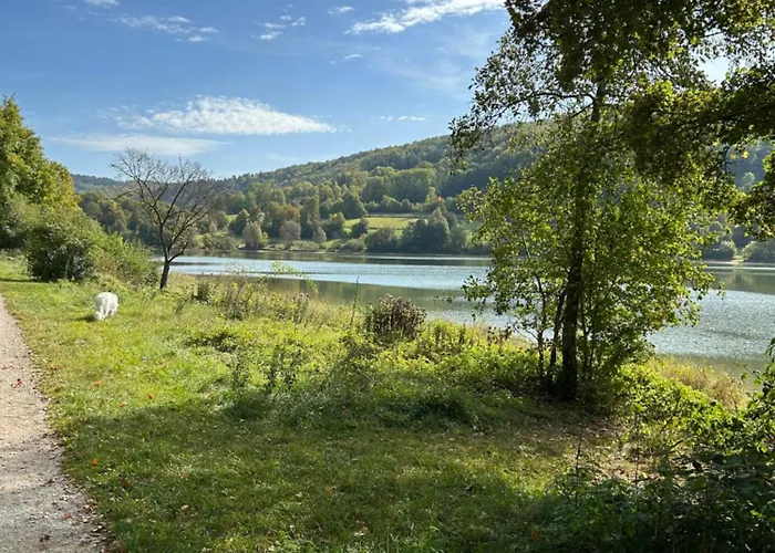 Laendliche Wildblume, 4 Km Zum Stausee