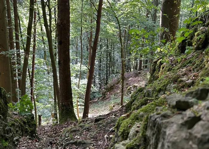 Appartement Laendliche Wildblume, 4 Km Zum Stausee *