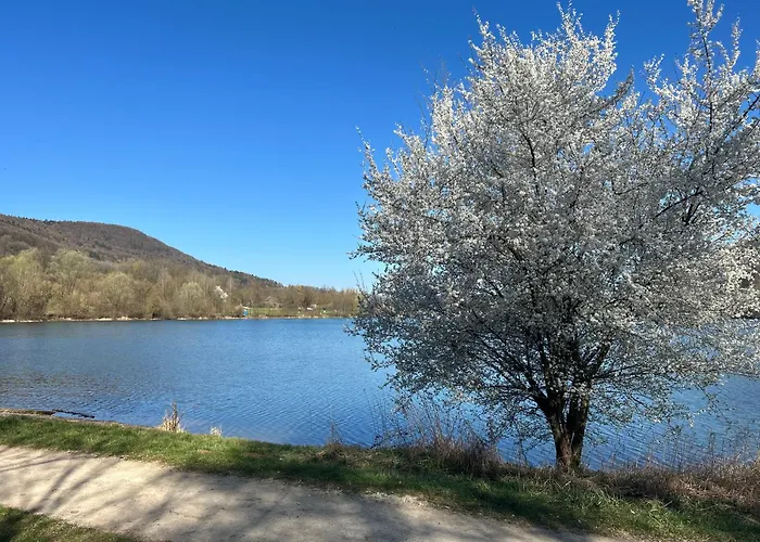 Laendliche Wildblume, 4 Km Zum Stausee * Happurg