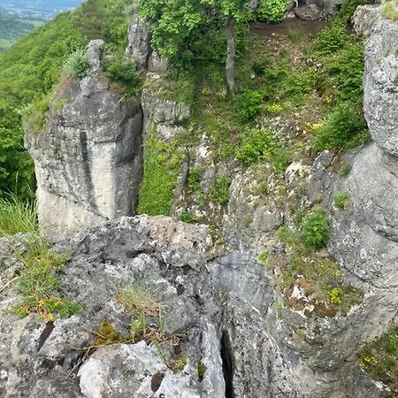 Laendliche Wildblume, 4 Km Zum Stausee *