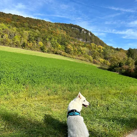 Appartamento Laendliche Wildblume, 4 Km Zum Stausee Happurg