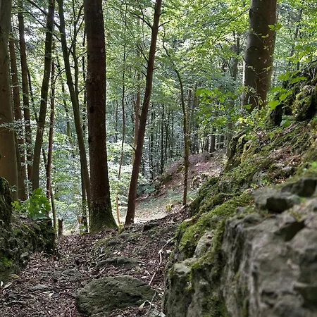 Appartamento Laendliche Wildblume, 4 Km Zum Stausee *