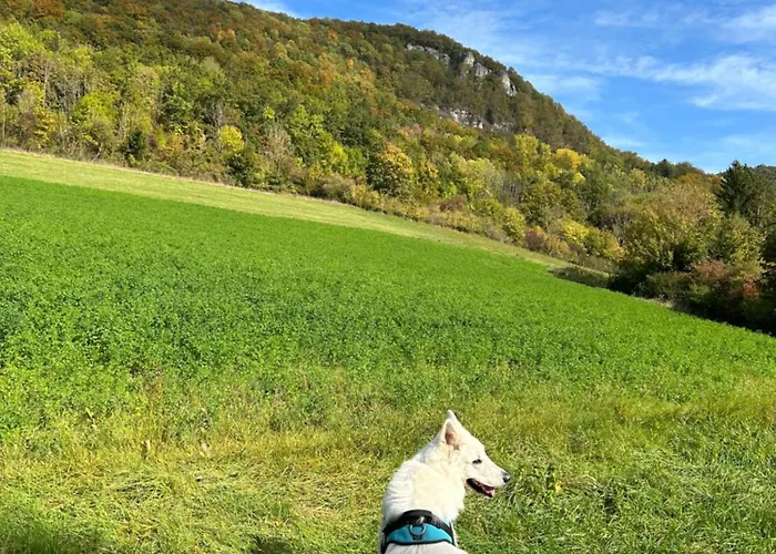 アパート Laendliche Wildblume, 4 Km Zum Stausee Happurg